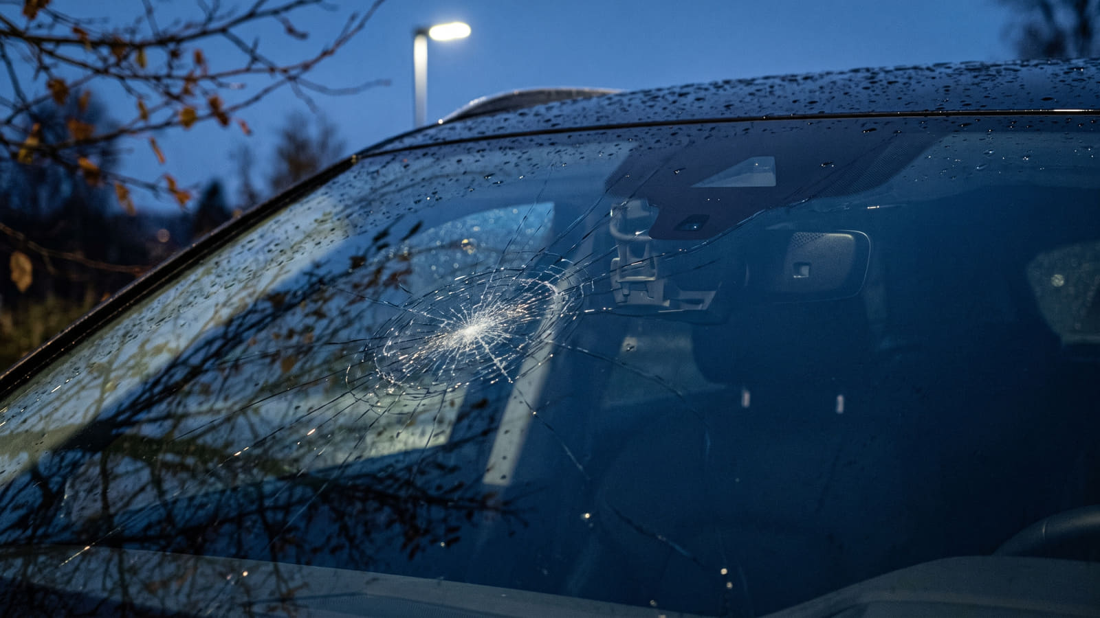 Med over 120 000 omtaler innenfor forsikringsbransjen er det lett å velge et godt forsikringsselskap på Bytt.no. Få pristilbud fra flere selskaper